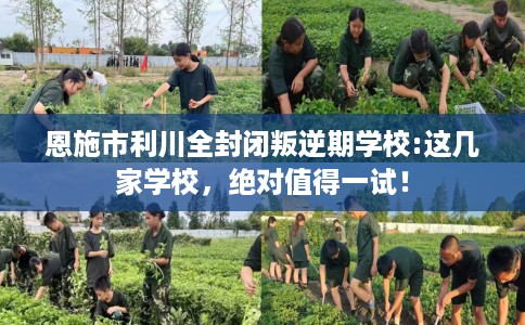 恩施市利川全封闭叛逆期学校:这几家学校,绝对值得一试! 恩施市利川全封闭叛逆期学校:这几家学校,绝对值得一试!