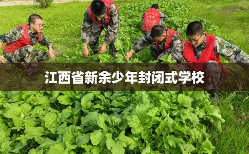 江西省新余少年封闭式学校 江西省新余少年封闭式学校