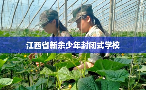 江西省新余少年封闭式学校 江西省新余少年封闭式学校
