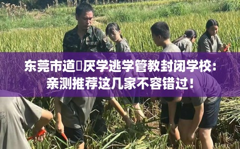 东莞市道滘厌学逃学管教封闭学校:亲测推荐这几家不容错过！