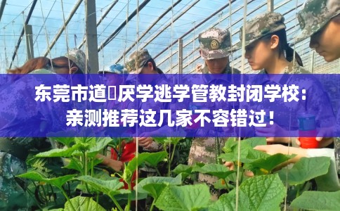 东莞市道滘厌学逃学管教封闭学校:亲测推荐这几家不容错过！