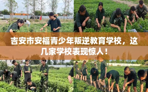 吉安市安福青少年叛逆教育学校，这几家学校表现惊人！