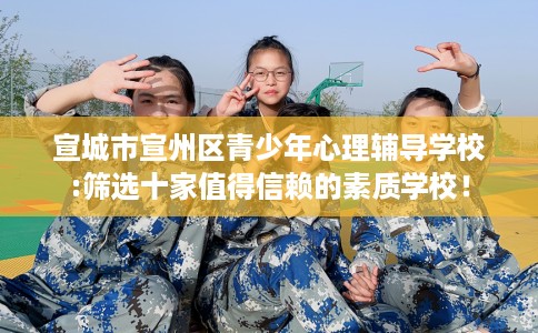 宣城市宣州区青少年心理辅导学校:筛选十家值得信赖的素质学校！