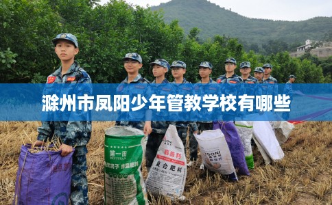 滁州市凤阳少年管教学校有哪些 滁州市凤阳少年管教学校有哪些