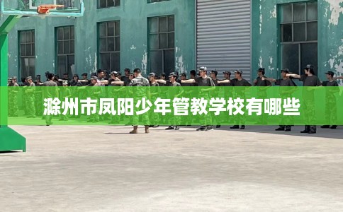 滁州市凤阳少年管教学校有哪些