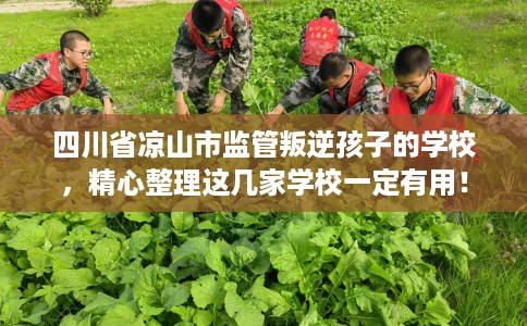 四川省凉山市监管叛逆孩子的学校,精心整理这几家学校一定有用! 四川省凉山市监管叛逆孩子的学校,精心整理这几家学校一定有用!