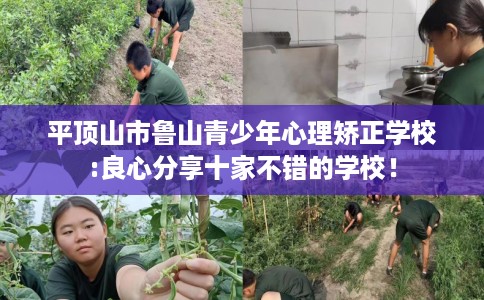 平顶山市鲁山青少年心理矫正学校:良心分享十家不错的学校！