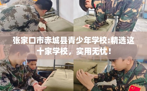 张家口市赤城县青少年学校:精选这十家学校,实用无忧! 张家口市赤城县青少年学校:精选这十家学校,实用无忧!