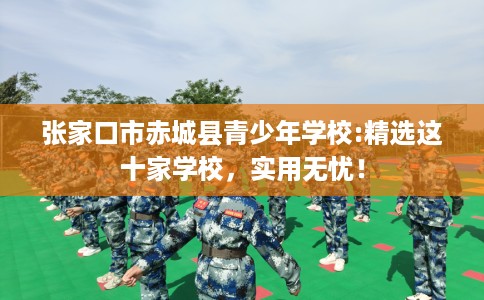 张家口市赤城县青少年学校:精选这十家学校，实用无忧！