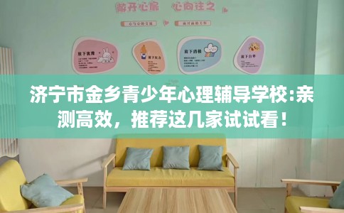 济宁市金乡青少年心理辅导学校:亲测高效，推荐这几家试试看！