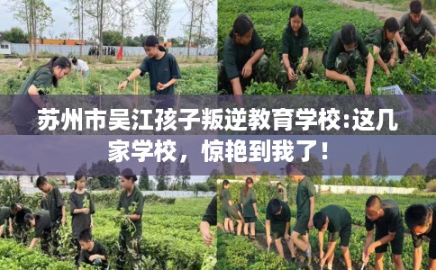 苏州市吴江孩子叛逆教育学校:这几家学校,惊艳到我了! 苏州市吴江孩子叛逆教育学校:这几家学校,惊艳到我了!