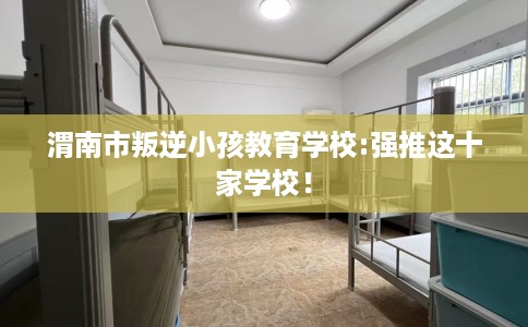 渭南市叛逆小孩教育学校:强推这十家学校! 渭南市叛逆小孩教育学校:强推这十家学校!