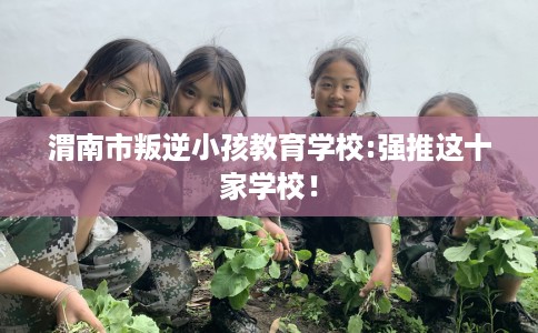 渭南市叛逆小孩教育学校:强推这十家学校! 渭南市叛逆小孩教育学校:强推这十家学校!