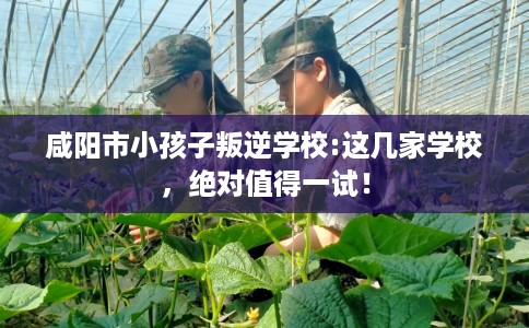 咸阳市小孩子叛逆学校:这几家学校,绝对值得一试! 咸阳市小孩子叛逆学校:这几家学校,绝对值得一试!