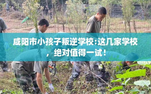 咸阳市小孩子叛逆学校:这几家学校,绝对值得一试! 咸阳市小孩子叛逆学校:这几家学校,绝对值得一试!