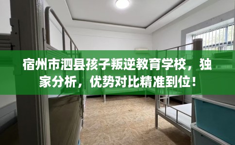 宿州市泗县孩子叛逆教育学校,独家分析,优势对比精准到位! 宿州市泗县孩子叛逆教育学校,独家分析,优势对比精准到位!