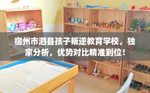 宿州市泗县孩子叛逆教育学校，独家分析，优势对比精准到位！