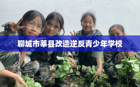 聊城市莘县改造逆反青少年学校 聊城市莘县改造逆反青少年学校