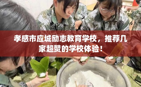 孝感市应城励志教育学校，推荐几家超赞的学校体验！