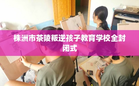株洲市茶陵叛逆孩子教育学校全封闭式