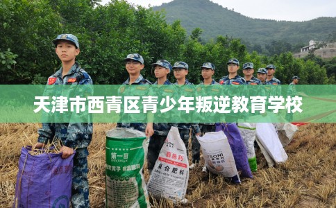 天津市西青区青少年叛逆教育学校