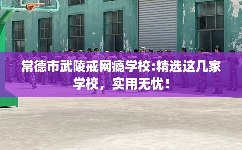 常德市武陵戒网瘾学校:精选这几家学校，实用无忧！