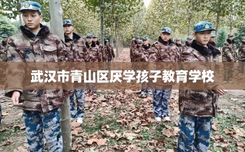 武汉市青山区厌学孩子教育学校 武汉市青山区厌学孩子教育学校