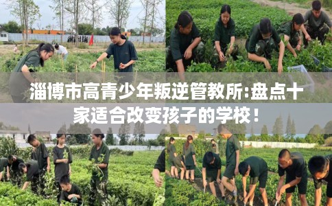 淄博市高青少年叛逆管教所:盘点十家适合改变孩子的学校! 淄博市高青少年叛逆管教所:盘点十家适合改变孩子的学校!