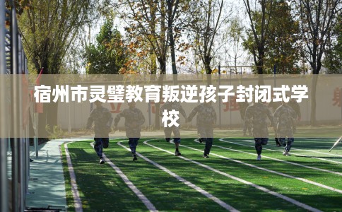 宿州市灵璧教育叛逆孩子封闭式学校 宿州市灵璧教育叛逆孩子封闭式学校