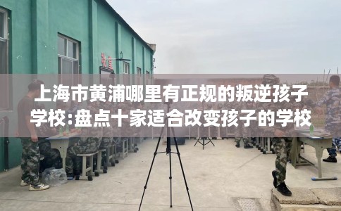 上海市黄浦哪里有正规的叛逆孩子学校:盘点十家适合改变孩子的学校！