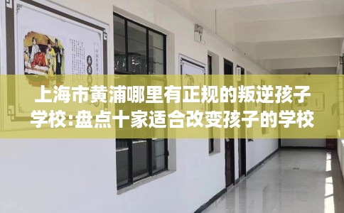 上海市黄浦哪里有正规的叛逆孩子学校:盘点十家适合改变孩子的学校！