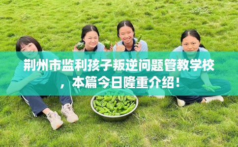 荆州市监利孩子叛逆问题管教学校,本篇今日隆重介绍! 荆州市监利孩子叛逆问题管教学校,本篇今日隆重介绍!