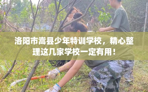 洛阳市嵩县少年特训学校，精心整理这几家学校一定有用！