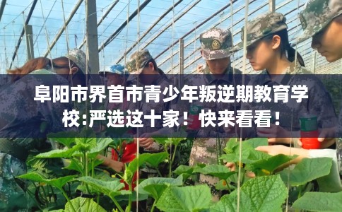 阜阳市界首市青少年叛逆期教育学校:严选这十家!快来看看! 阜阳市界首市青少年叛逆期教育学校:严选这十家!快来看看!