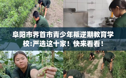 阜阳市界首市青少年叛逆期教育学校:严选这十家!快来看看! 阜阳市界首市青少年叛逆期教育学校:严选这十家!快来看看!