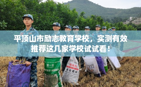 平顶山市励志教育学校,实测有效推荐这几家学校试试看! 平顶山市励志教育学校,实测有效推荐这几家学校试试看!