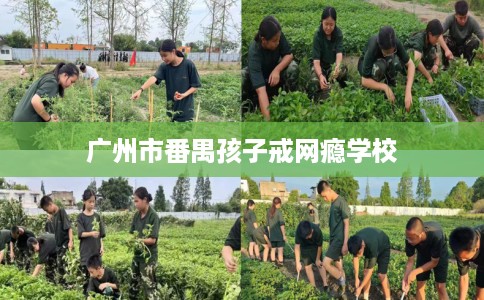 广州市番禺孩子戒网瘾学校