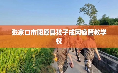 张家口市阳原县孩子戒网瘾管教学校 张家口市阳原县孩子戒网瘾管教学校
