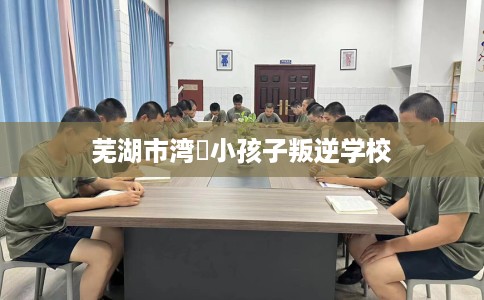 芜湖市湾沚小孩子叛逆学校 芜湖市湾沚小孩子叛逆学校