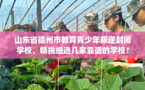 山东省德州市教育青少年叛逆封闭学校，精挑细选几家靠谱的学校！