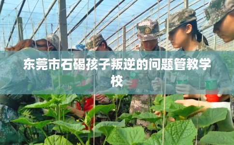 东莞市石碣孩子叛逆的问题管教学校 东莞市石碣孩子叛逆的问题管教学校
