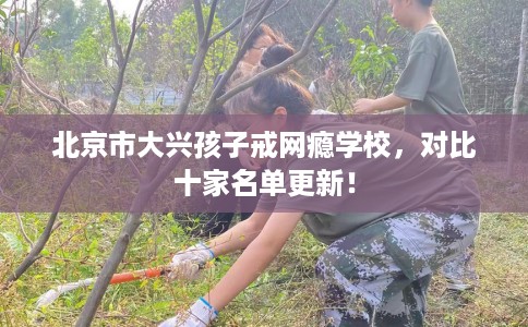 北京市大兴孩子戒网瘾学校，对比十家名单更新！