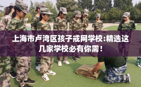 上海市卢湾区孩子戒网学校:精选这几家学校必有你需！