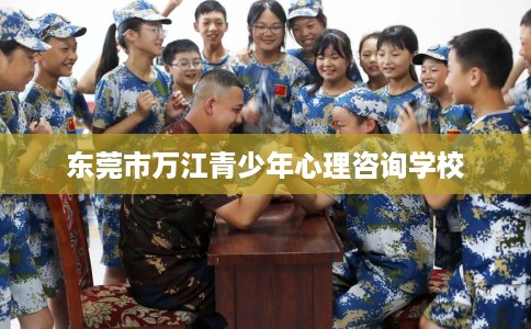 东莞市万江青少年心理咨询学校 东莞市万江青少年心理咨询学校