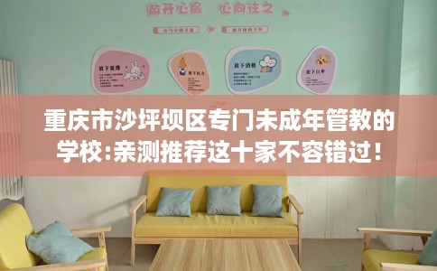 重庆市沙坪坝区专门未成年管教的学校:亲测推荐这十家不容错过！