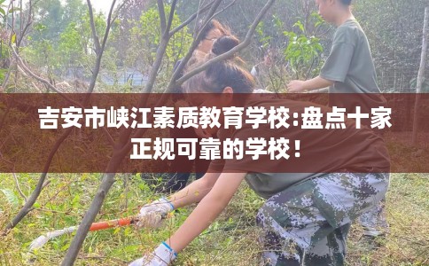 吉安市峡江素质教育学校:盘点十家正规可靠的学校! 吉安市峡江素质教育学校:盘点十家正规可靠的学校!