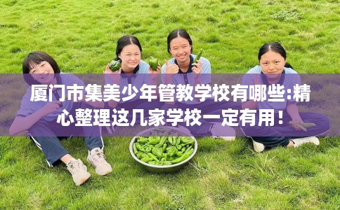 厦门市集美少年管教学校有哪些:精心整理这几家学校一定有用！