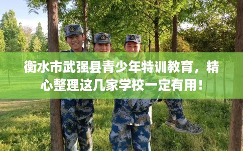 衡水市武强县青少年特训教育,精心整理这几家学校一定有用! 衡水市武强县青少年特训教育,精心整理这几家学校一定有用!