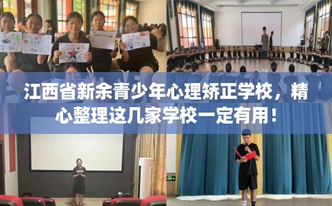 江西省新余青少年心理矫正学校，精心整理这几家学校一定有用！