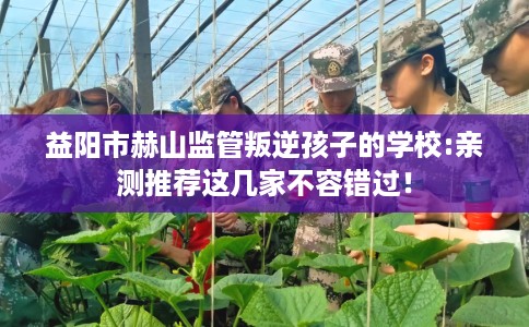 益阳市赫山监管叛逆孩子的学校:亲测推荐这几家不容错过！